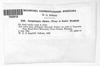 Image Associated With the Occurence